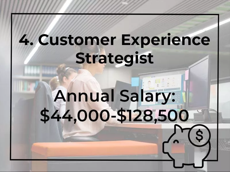 Customer Experience Strategist