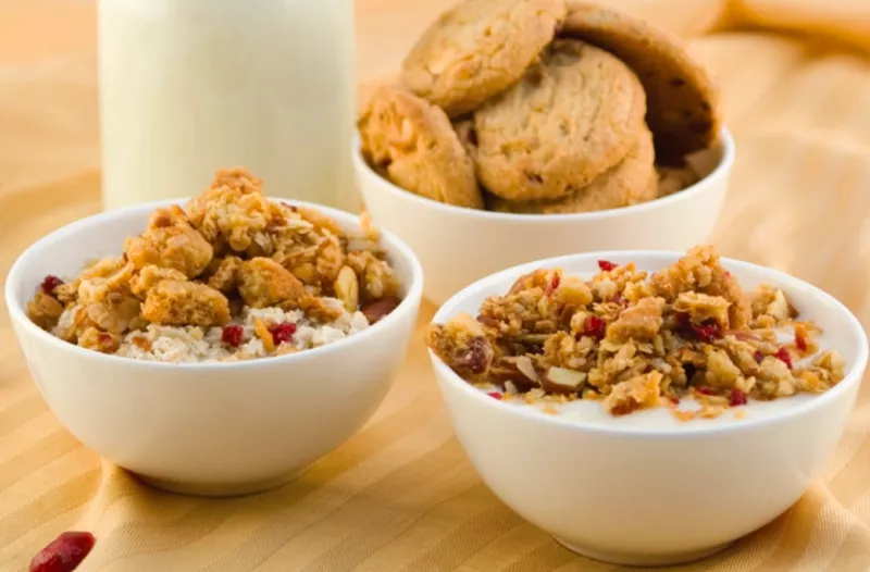 Granola Girl Scout c                                                                                                                                                ookies