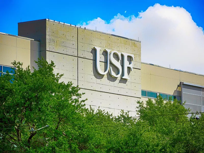 University of South Florida